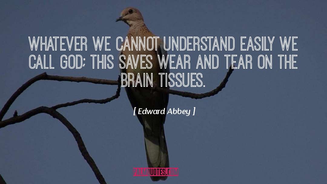 Edward Abbey Quotes: Whatever we cannot understand easily