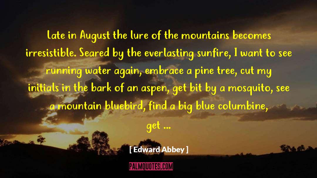 Edward Abbey Quotes: Late in August the lure