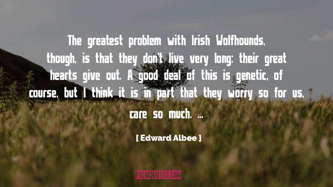 Edward Albee Quotes: The greatest problem with Irish