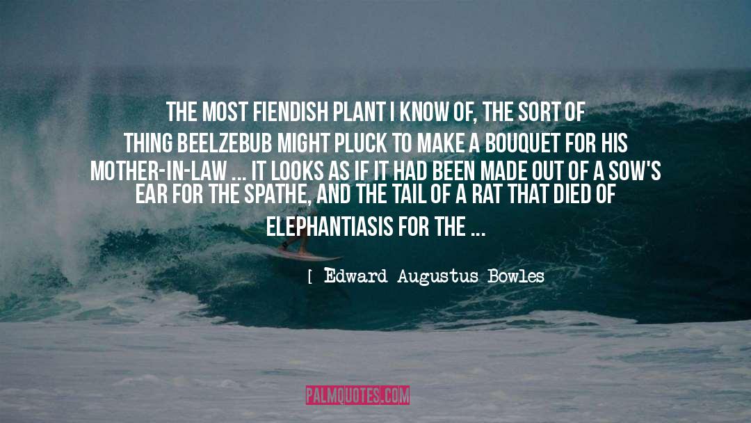 Edward Augustus Bowles Quotes: The most fiendish plant I