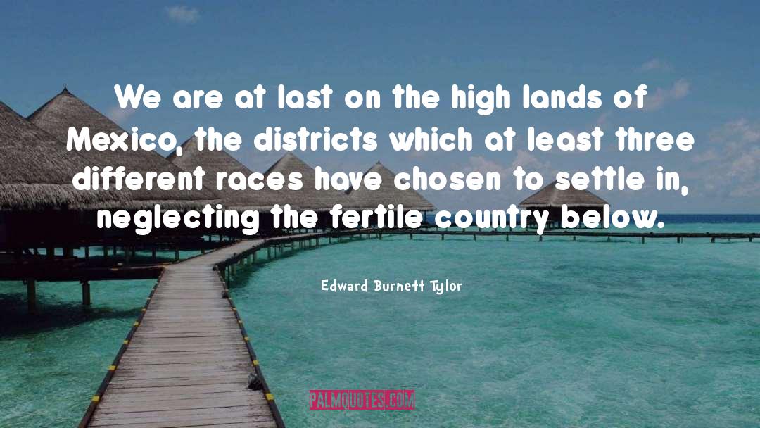 Edward Burnett Tylor Quotes: We are at last on