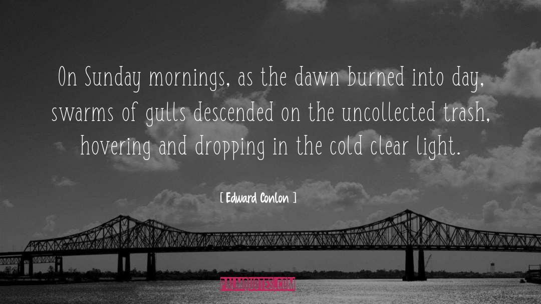 Edward Conlon Quotes: On Sunday mornings, as the