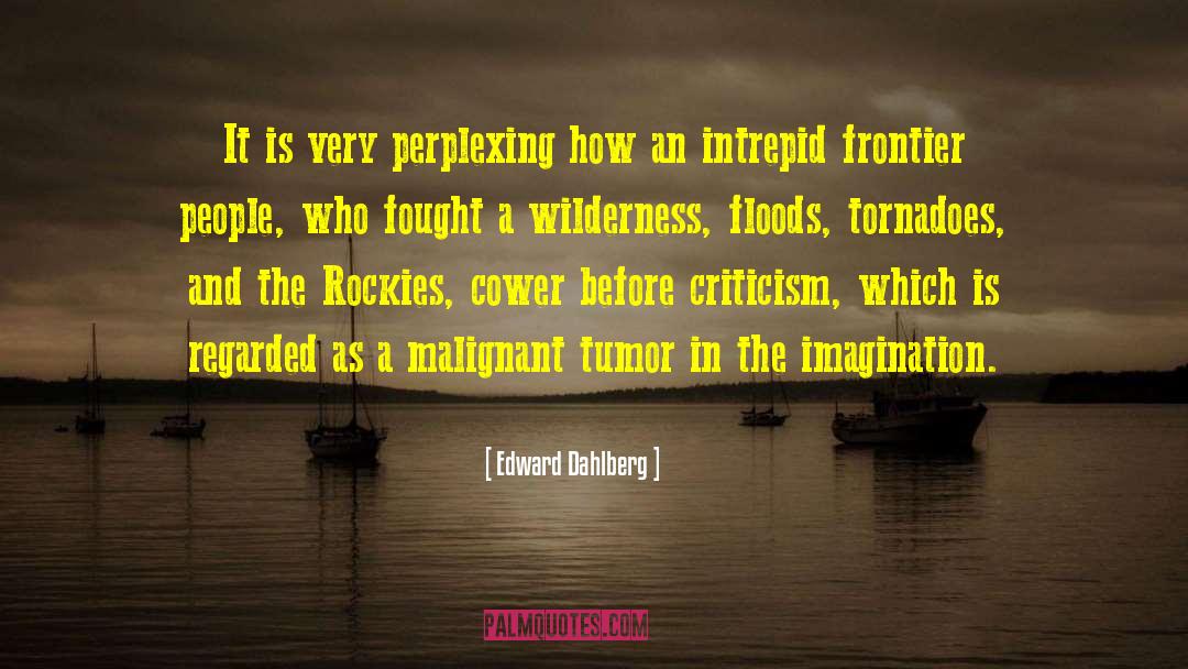 Edward Dahlberg Quotes: It is very perplexing how