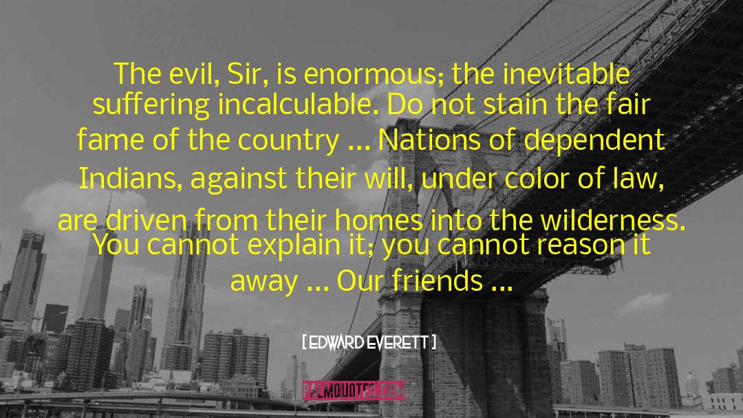 Edward Everett Quotes: The evil, Sir, is enormous;