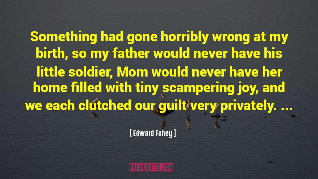 Edward Fahey Quotes: Something had gone horribly wrong
