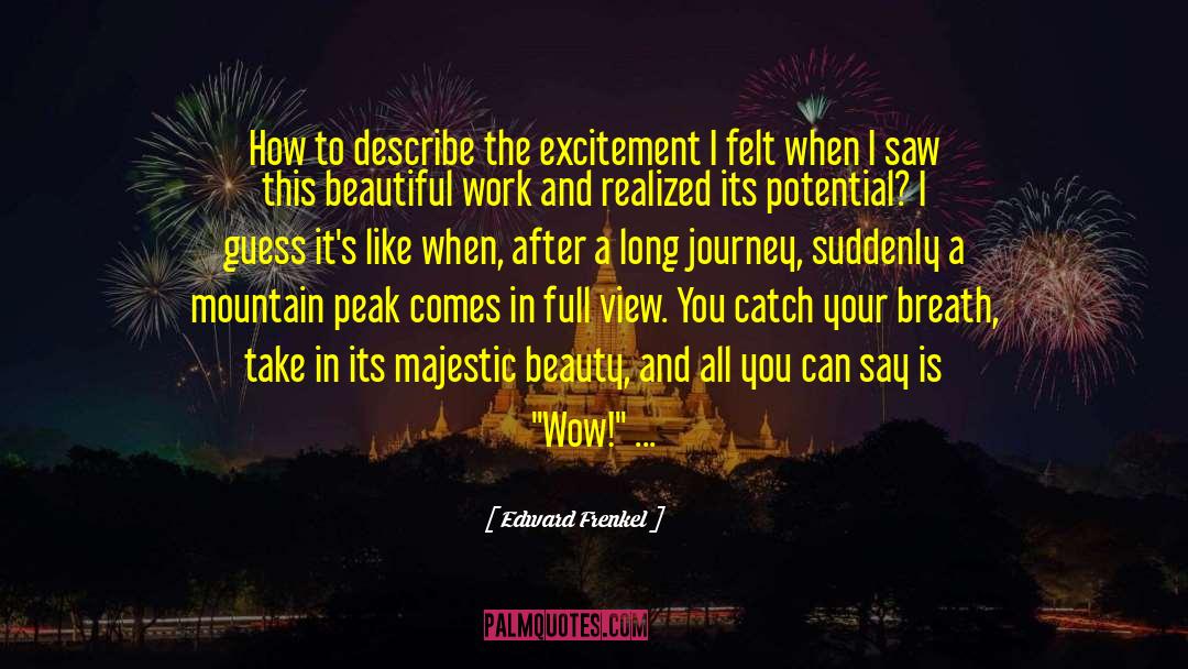 Edward Frenkel Quotes: How to describe the excitement