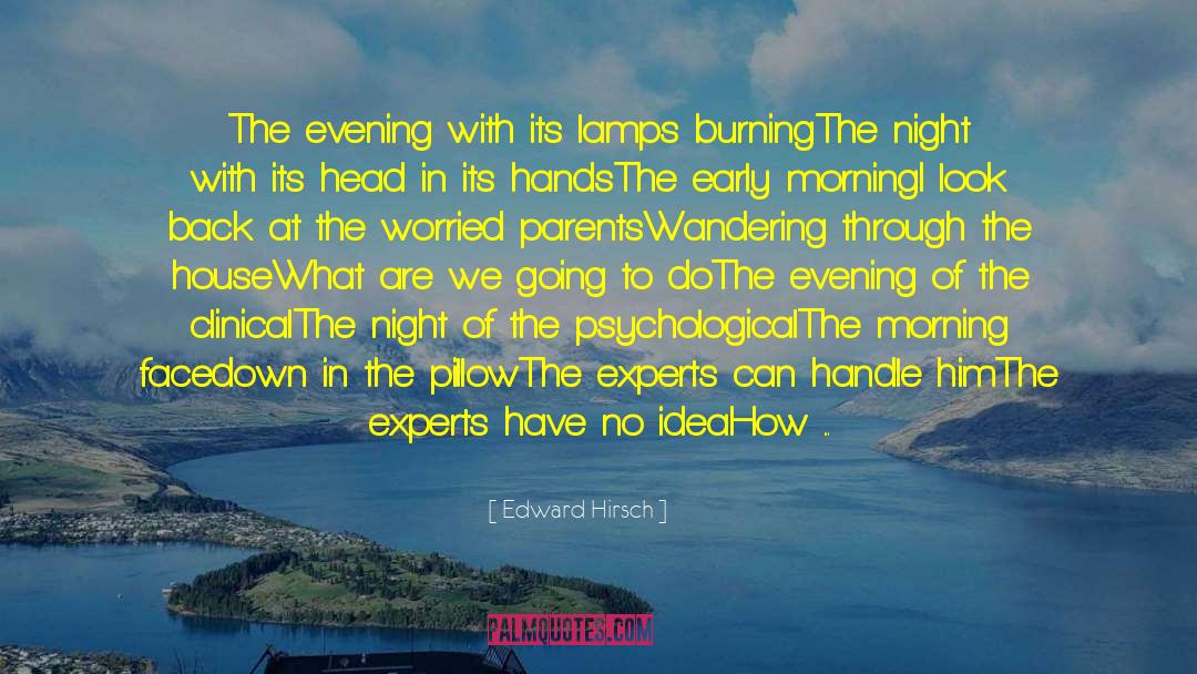 Edward Hirsch Quotes: The evening with its lamps