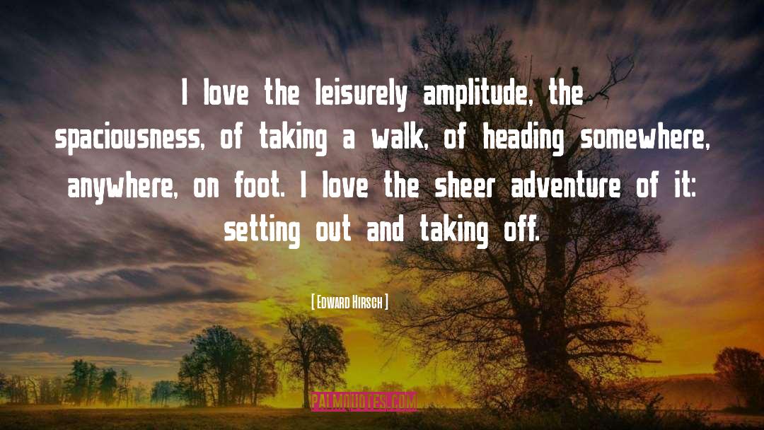 Edward Hirsch Quotes: I love the leisurely amplitude,