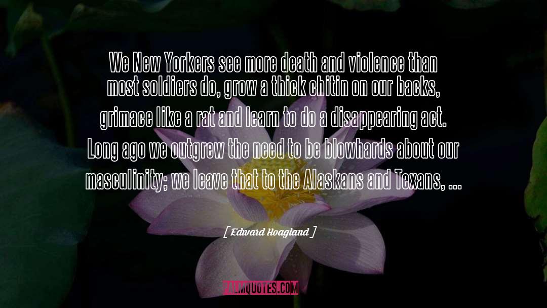 Edward Hoagland Quotes: We New Yorkers see more