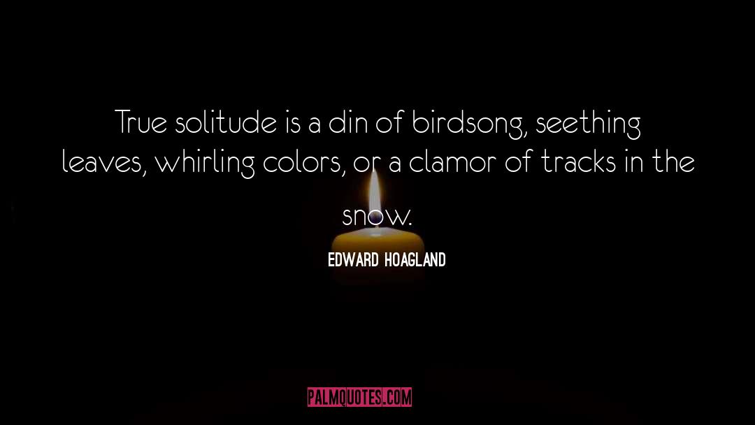 Edward Hoagland Quotes: True solitude is a din