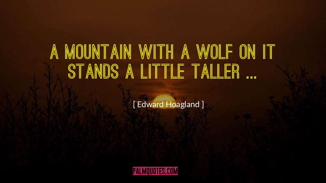 Edward Hoagland Quotes: A mountain with a wolf