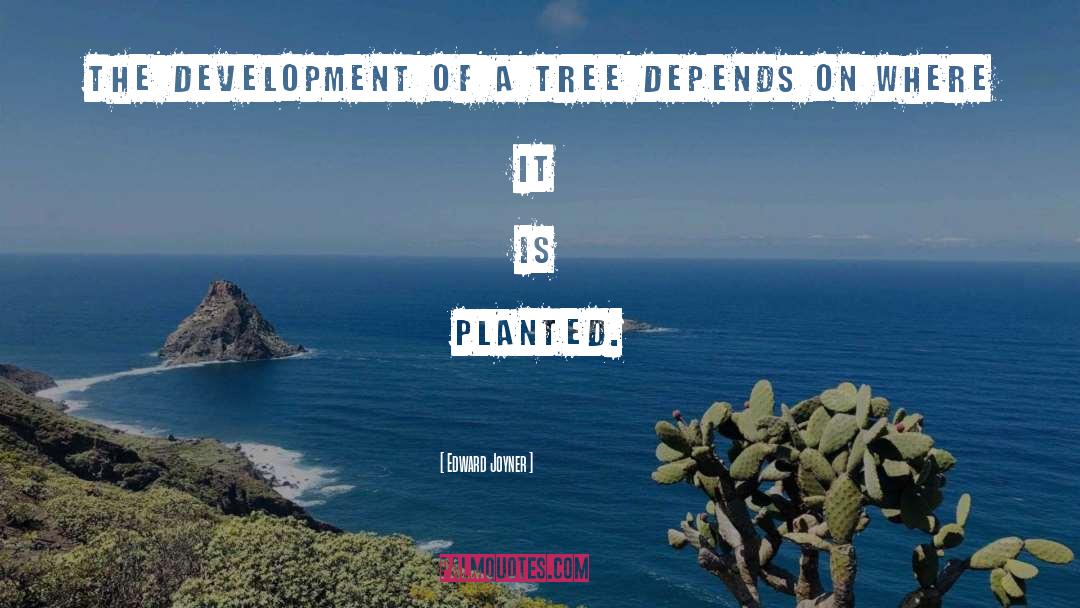 Edward Joyner Quotes: The development of a tree