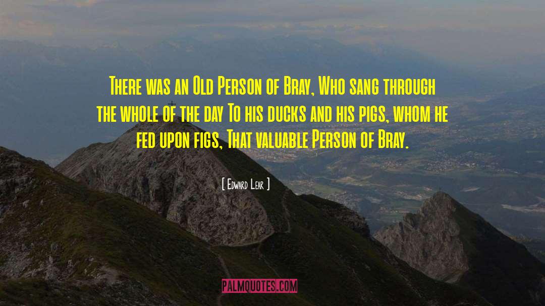 Edward Lear Quotes: There was an Old Person