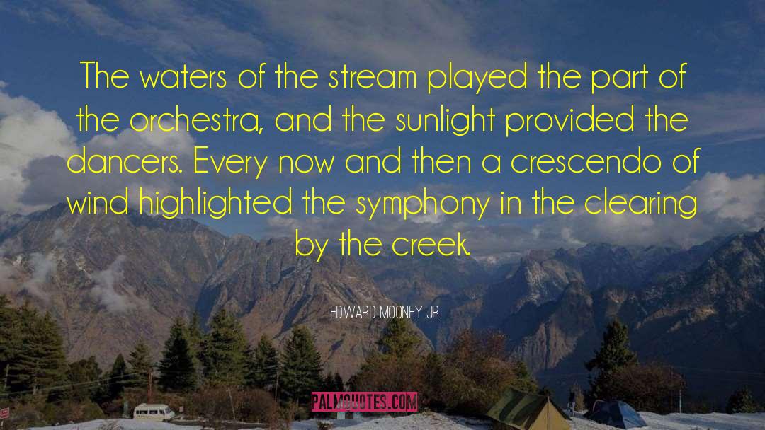 Edward Mooney Jr. Quotes: The waters of the stream