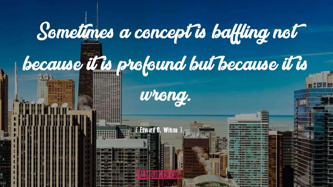 Edward O. Wilson Quotes: Sometimes a concept is baffling
