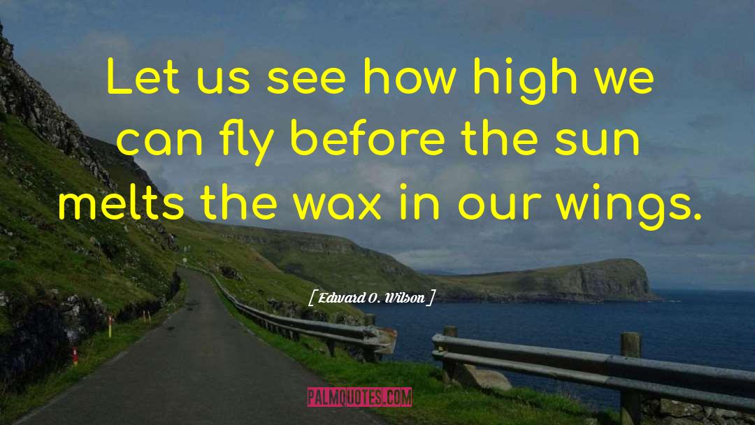 Edward O. Wilson Quotes: Let us see how high