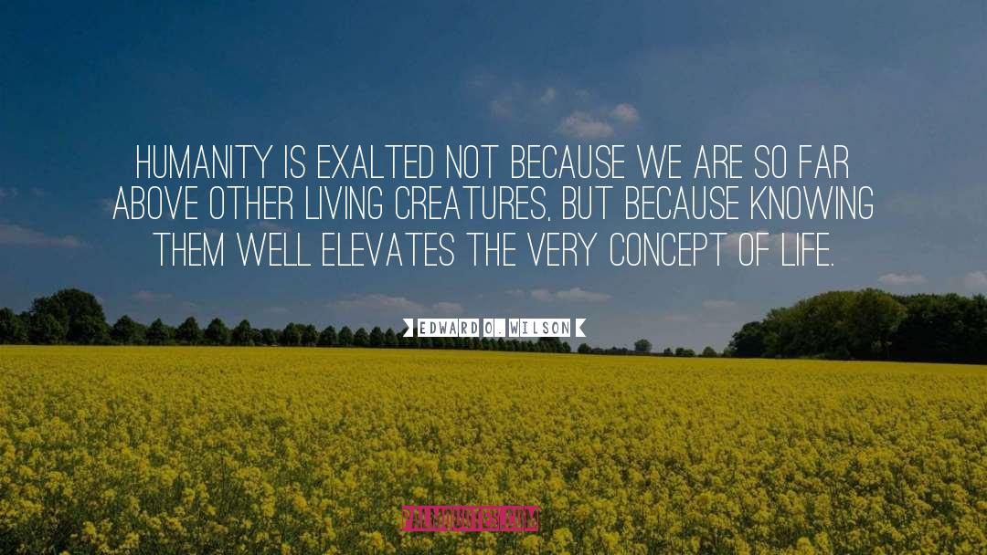 Edward O. Wilson Quotes: Humanity is exalted not because
