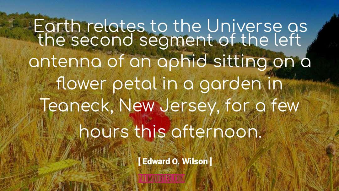 Edward O. Wilson Quotes: Earth relates to the Universe