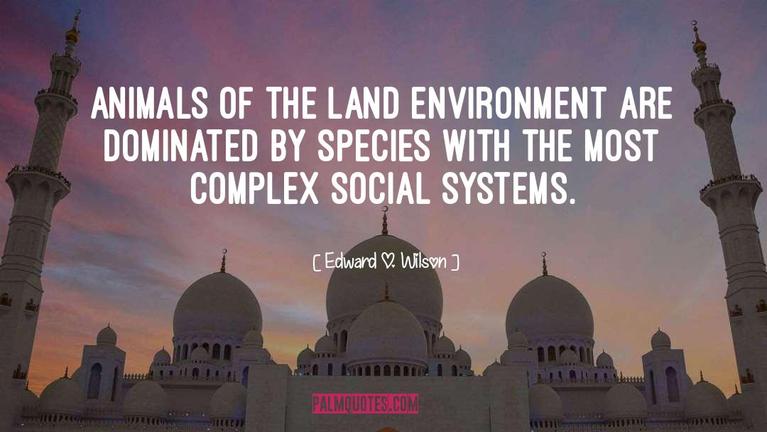 Edward O. Wilson Quotes: Animals of the land environment