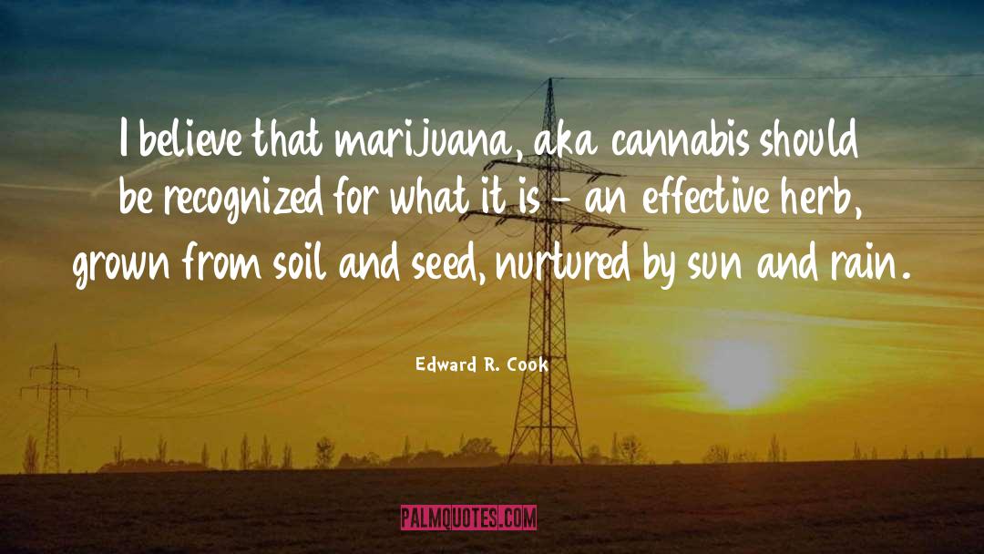 Edward R. Cook Quotes: I believe that marijuana, aka