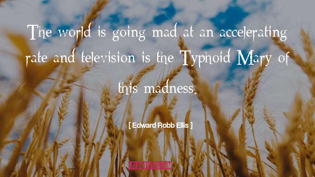 Edward Robb Ellis Quotes: The world is going mad