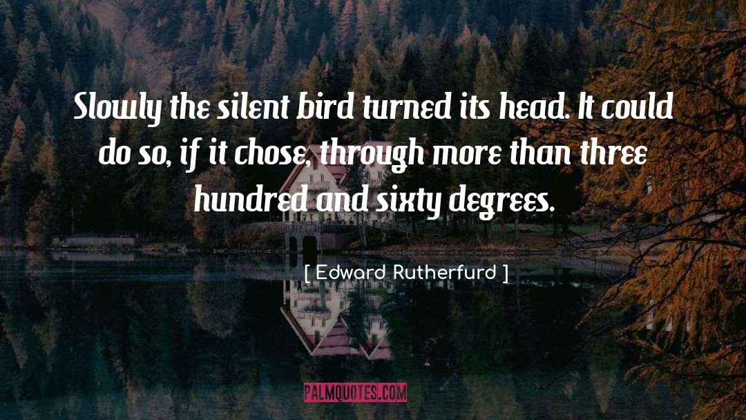 Edward Rutherfurd Quotes: Slowly the silent bird turned