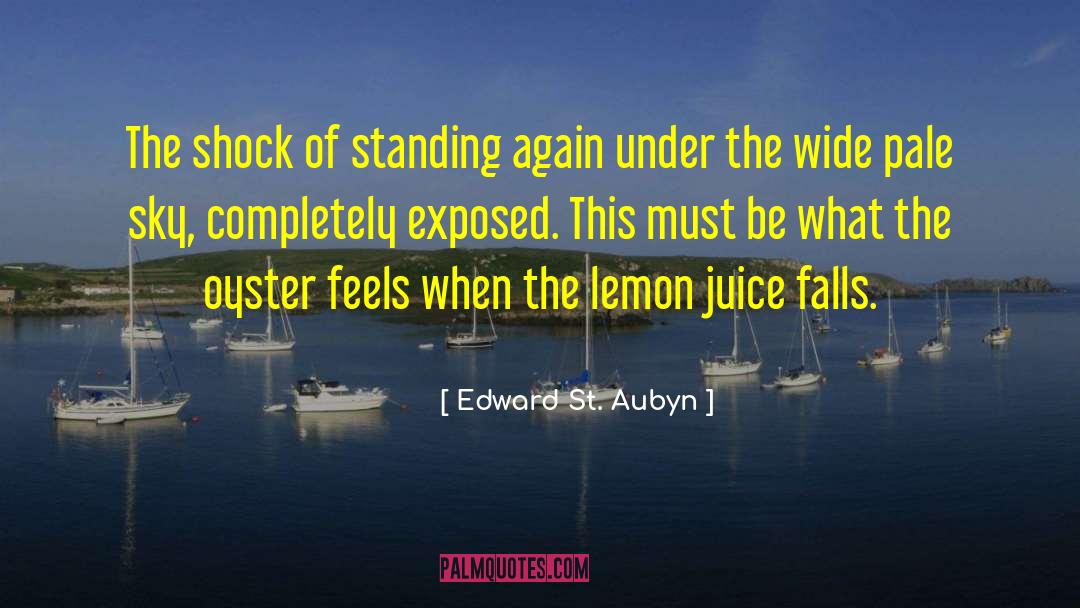 Edward St. Aubyn Quotes: The shock of standing again