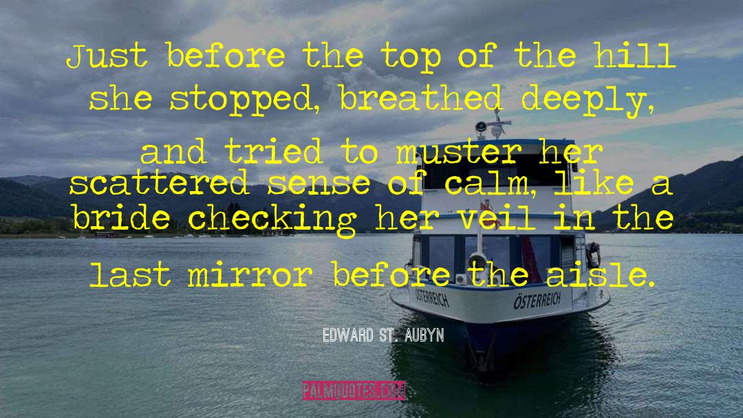 Edward St. Aubyn Quotes: Just before the top of