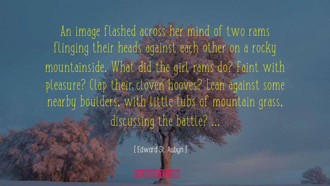 Edward St. Aubyn Quotes: An image flashed across her