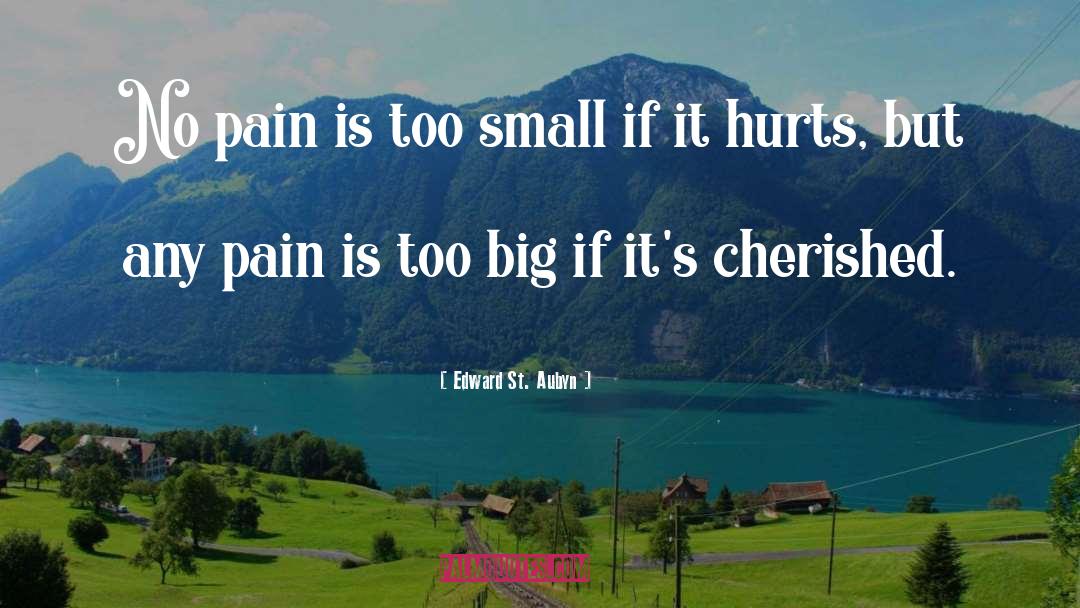 Edward St. Aubyn Quotes: No pain is too small