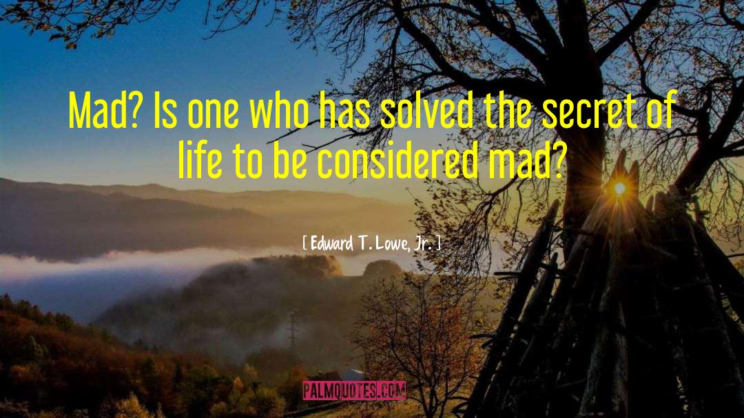 Edward T. Lowe, Jr. Quotes: Mad? Is one who has