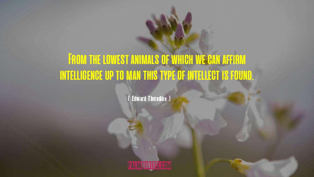 Edward Thorndike Quotes: From the lowest animals of