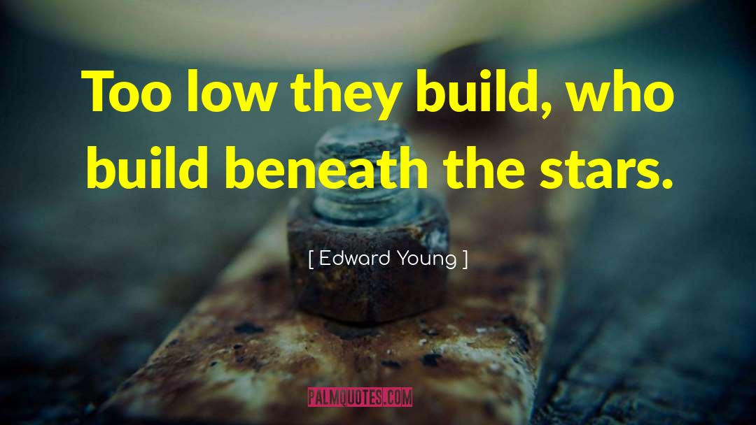 Edward Young Quotes: Too low they build, who