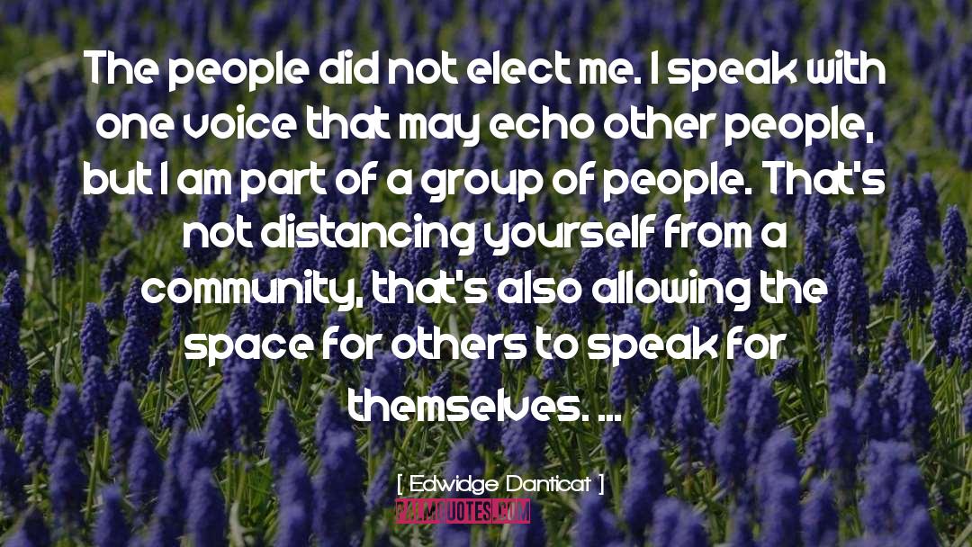 Edwidge Danticat Quotes: The people did not elect