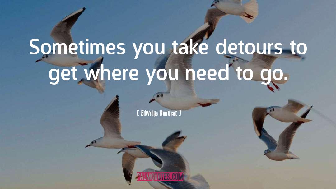 Edwidge Danticat Quotes: Sometimes you take detours to