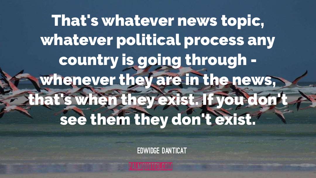 Edwidge Danticat Quotes: That's whatever news topic, whatever