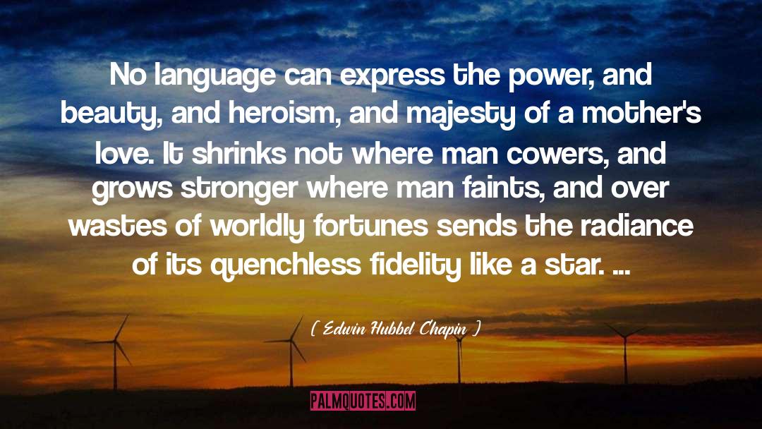 Edwin Hubbel Chapin Quotes: No language can express the