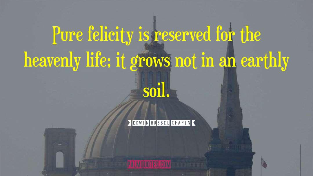 Edwin Hubbel Chapin Quotes: Pure felicity is reserved for