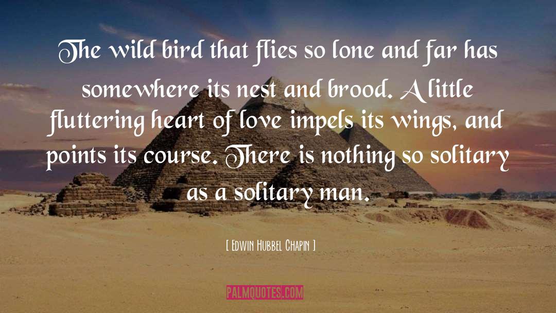 Edwin Hubbel Chapin Quotes: The wild bird that flies