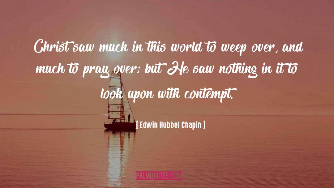 Edwin Hubbel Chapin Quotes: Christ saw much in this