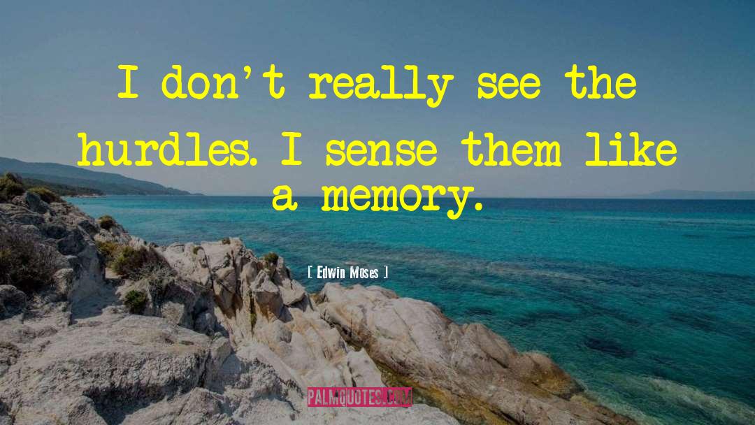 Edwin Moses Quotes: I don't really see the