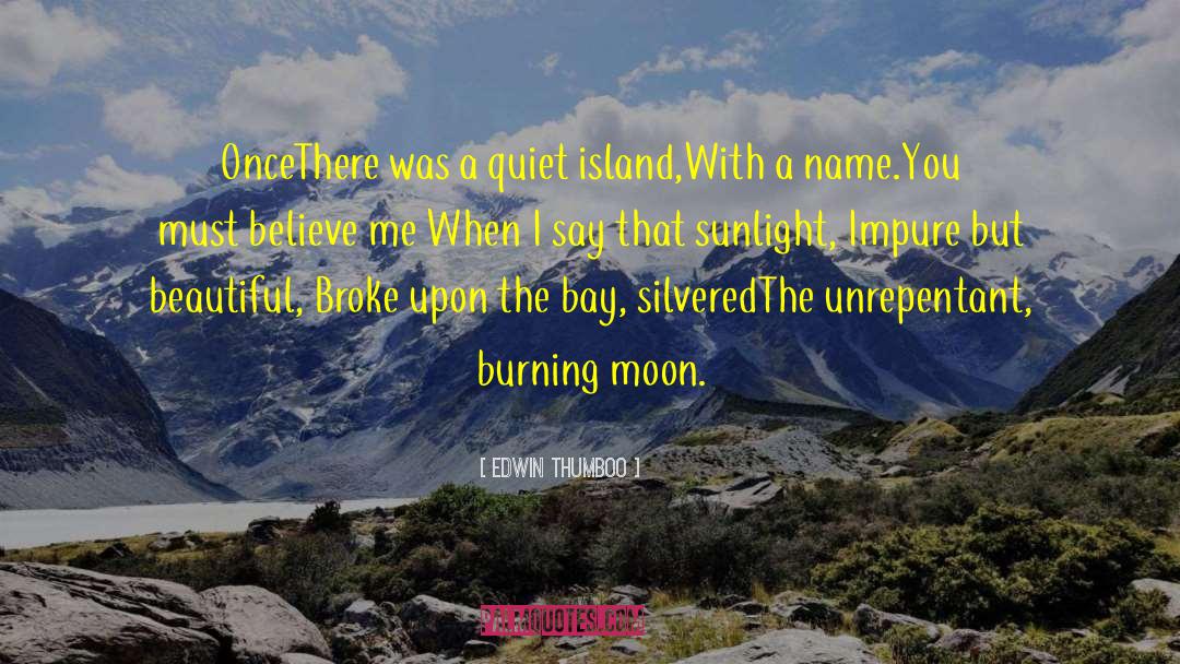 Edwin Thumboo Quotes: Once<br />There was a quiet