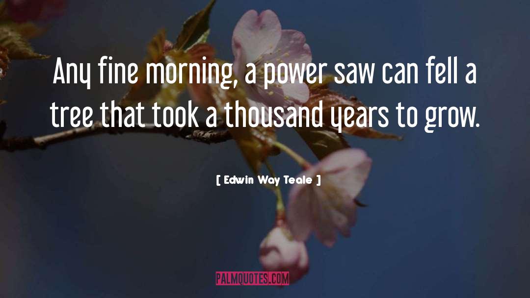 Edwin Way Teale Quotes: Any fine morning, a power