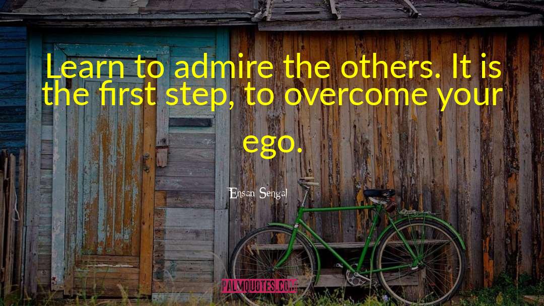 Ehsan Sehgal Quotes: Learn to admire the others.