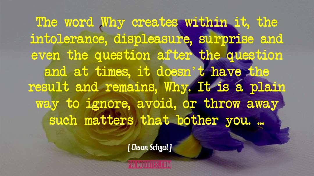 Ehsan Sehgal Quotes: The word Why creates within