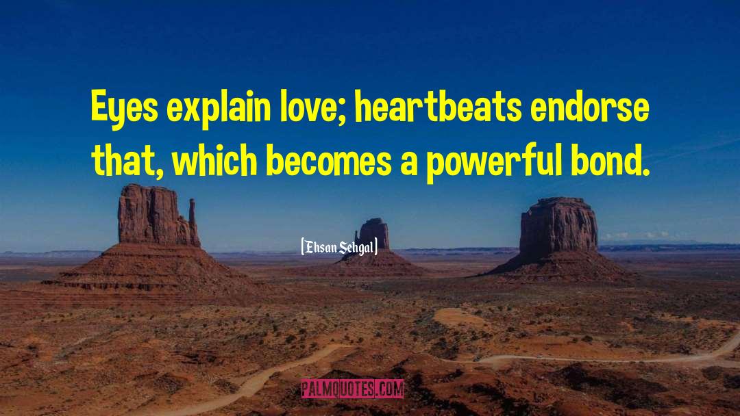 Ehsan Sehgal Quotes: Eyes explain love; heartbeats endorse