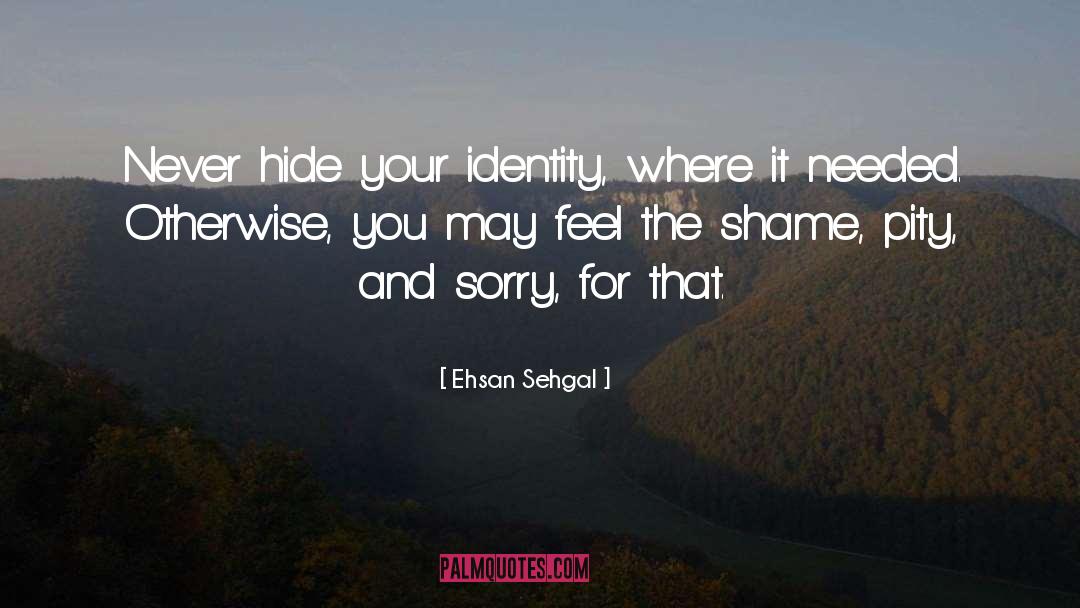 Ehsan Sehgal Quotes: Never hide your identity, where