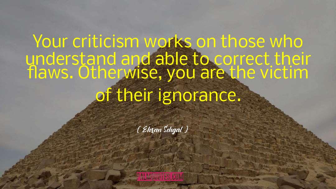 Ehsan Sehgal Quotes: Your criticism works on those