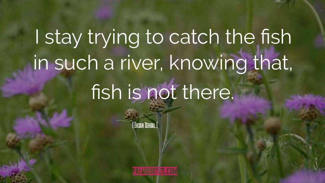 Ehsan Sehgal Quotes: I stay trying to catch