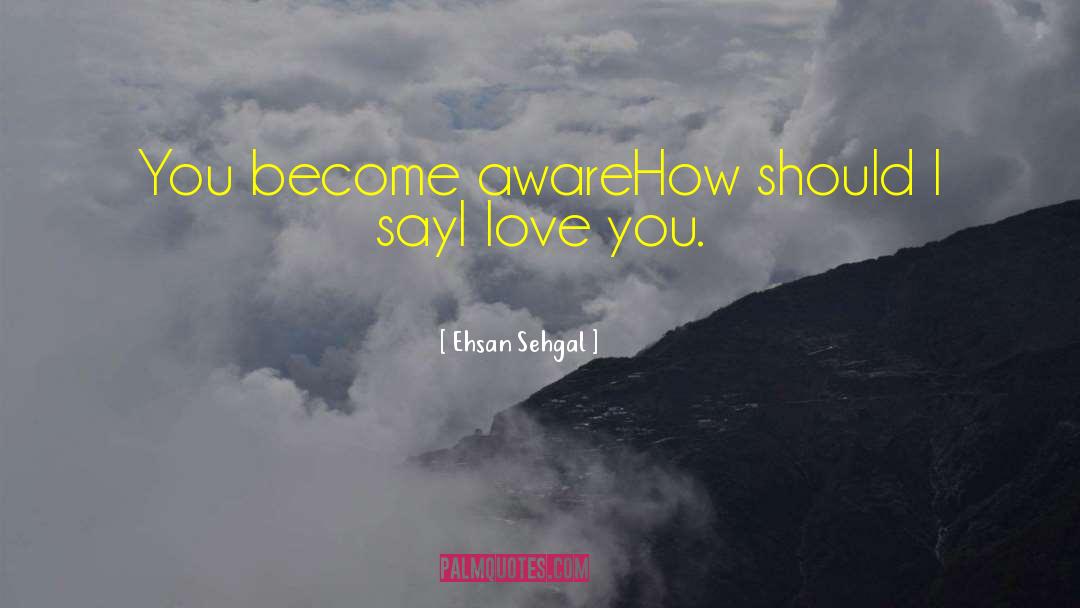 Ehsan Sehgal Quotes: You become aware<br />How should